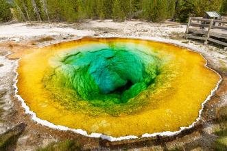 Morning Glory Pool mit farbigen Mikroorganismen