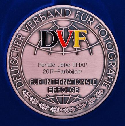 Medaille für Internationale Erfolge