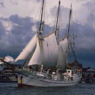 Hart am Wind