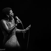 Jazz Baltica 5