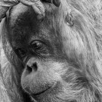 Michael Busack  "Thinking"
