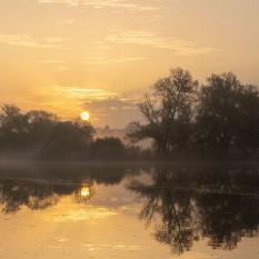 "Stille"  